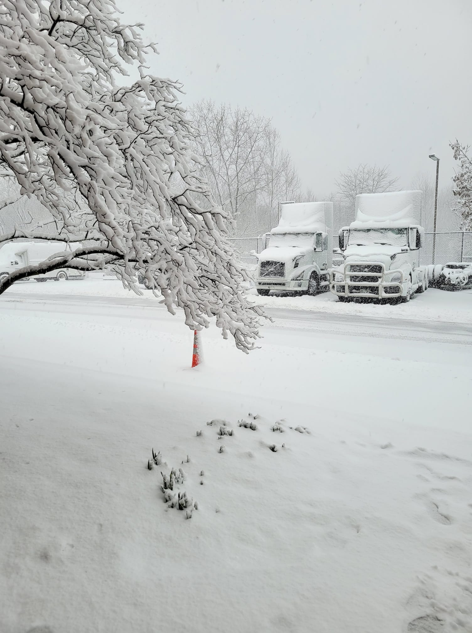 Snow in Exton, Pennsylvania