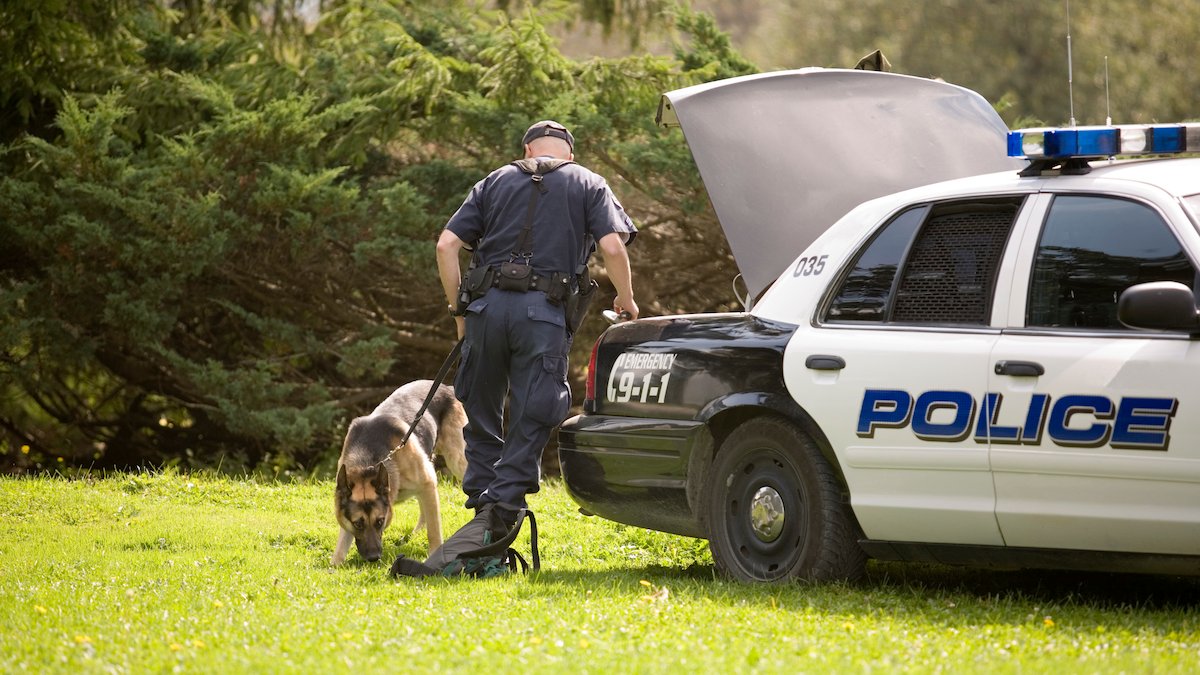Kansas to increase penalties for harming police dogs – NBC10 Philadelphia - Vimarsana News