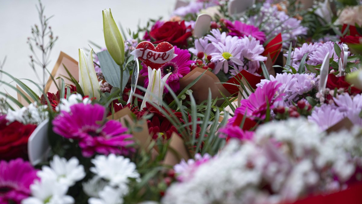 Charlotte mom gives flowers to 1,000 widows on Valentine's Day – NBC10 Philadelphia - Vimarsana News