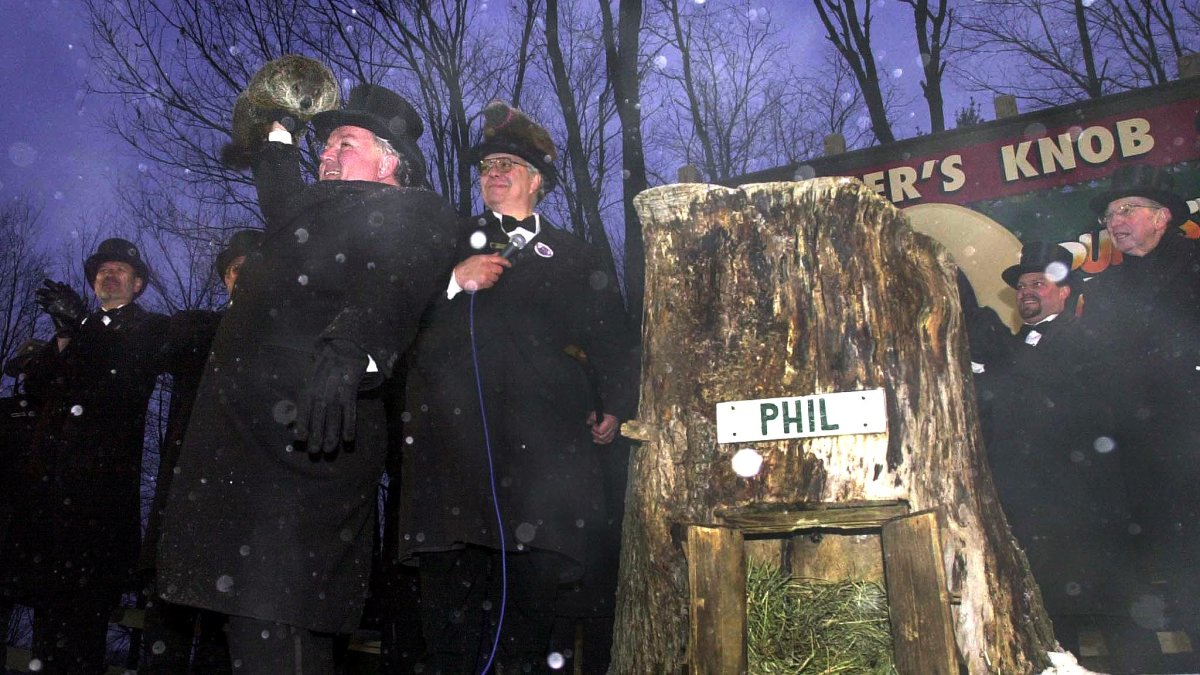 Why do we celebrate Groundhog Day? NBC10 Philadelphia