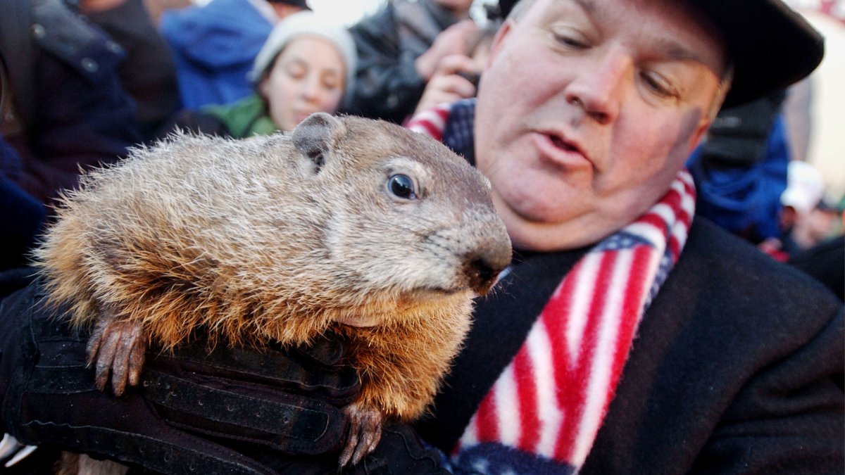 Punxsutawney Phil Could Blame Climate Change If He Gets It Wrong 