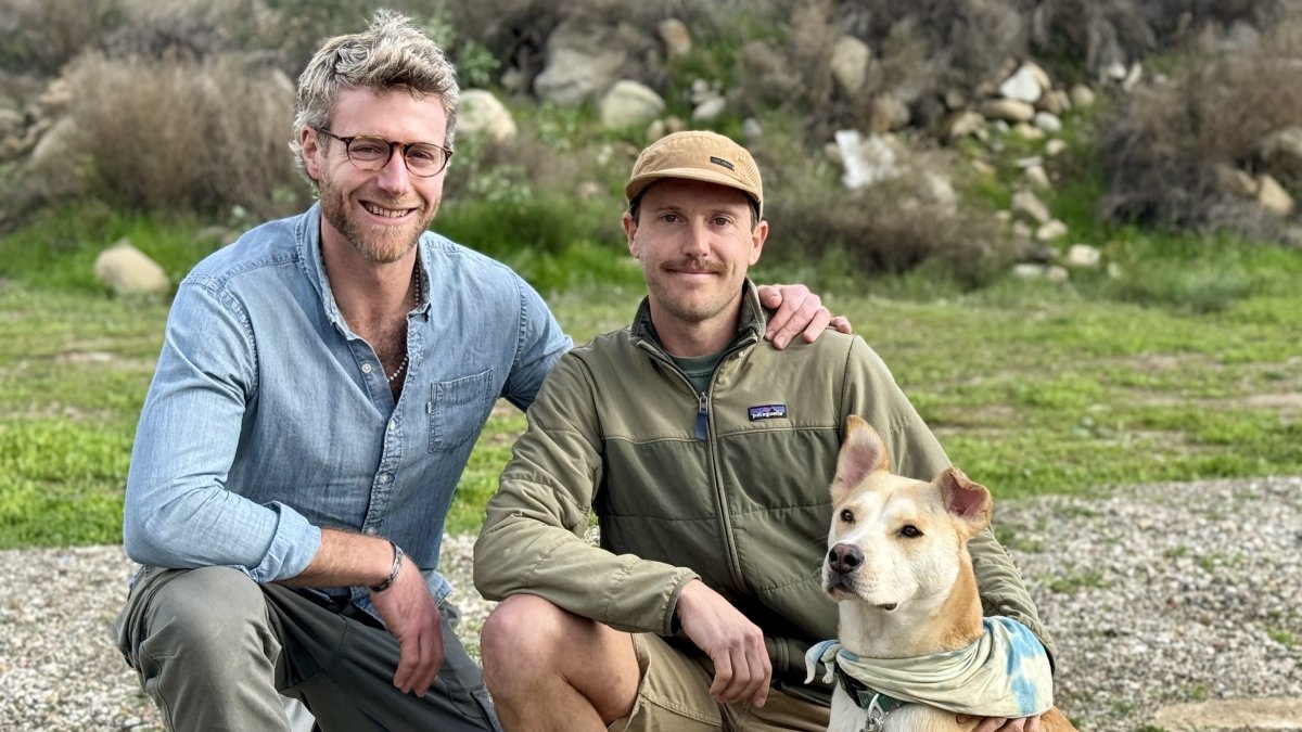 Runners save their dog from a mountain lion attack in So Cal – NBC10 Philadelphia - Vimarsana News
