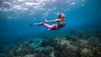 Mermaids swim their way back to Adventure Aquarium