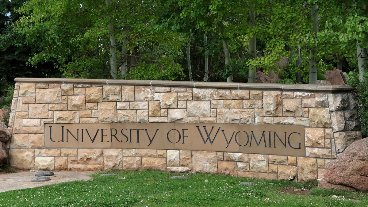 Three University of Wyoming swimmers killed and two injured in highway crash - Vimarsana News