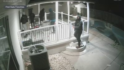 Surveillance camera captures suspects who allegedly took dogs from home