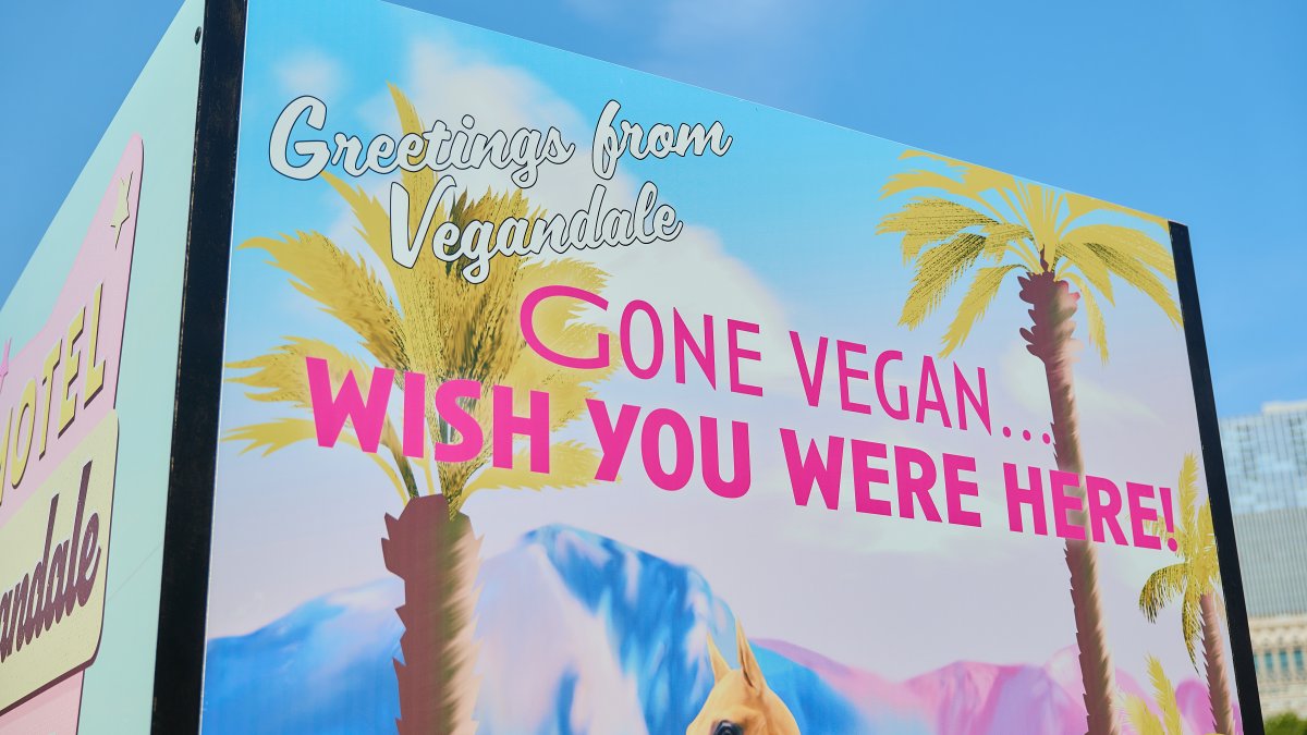 Vegandale Festival comes to Philadelphia summer 2024 NBC10 Philadelphia Vegandale Festival comes to Philadelphia summer 2024 NBC10 Philadelphia