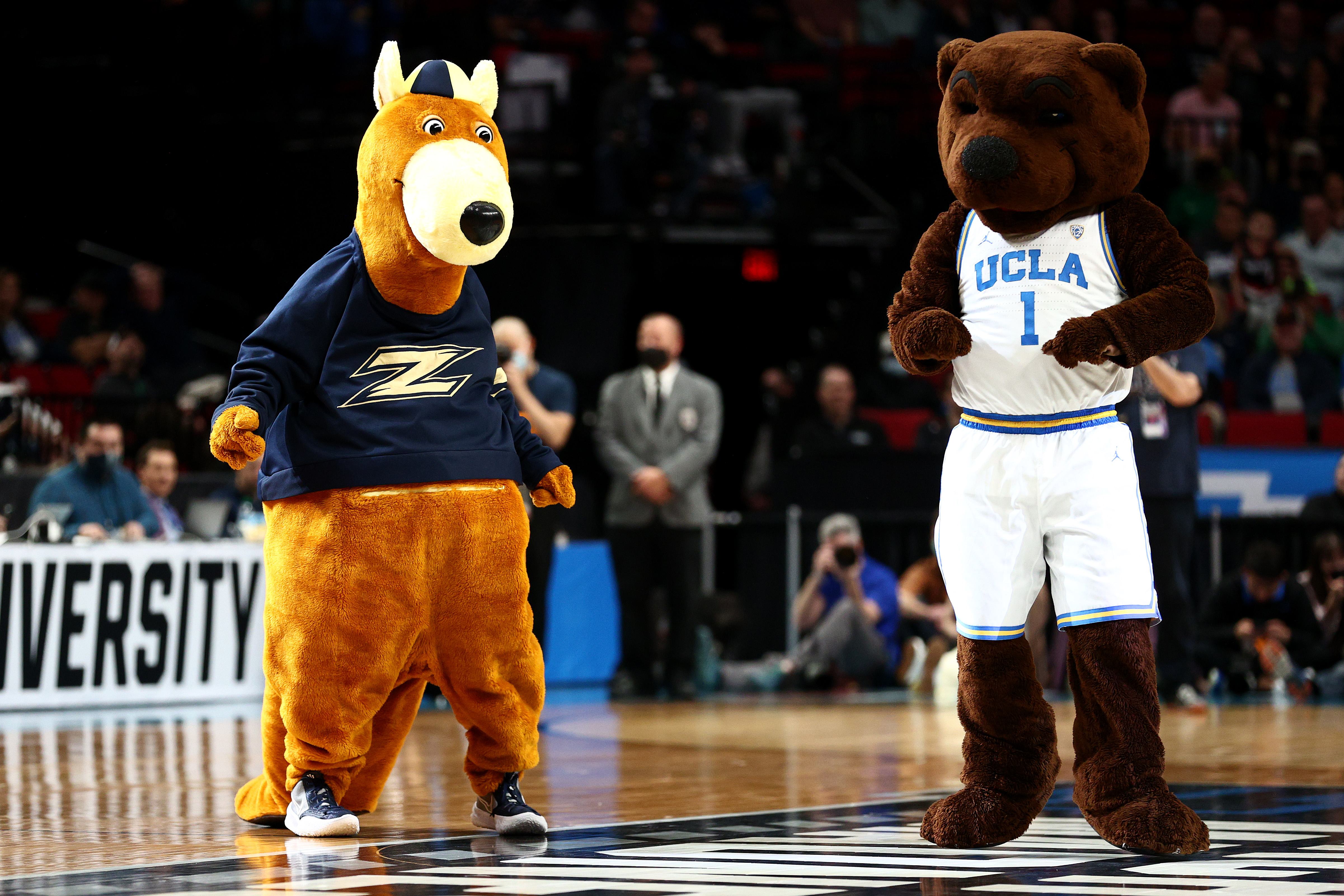 PORTLAND, OREGON - MARCH 17: The mascots of the UCLA Bruins and the Akron Zips dance during the first round game of the 2022 NCAA Men's Basketball Tournament at Moda Center on March 17, 2022 in Portland, Oregon. (Photo by Ezra Shaw/Getty Images)