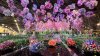 ‘United by Flowers:' Your guide to 2024 Philadelphia Flower Show