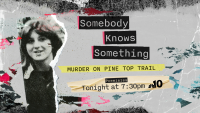 Somebody Knows Something: Murder on Pine Top Trail