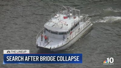 Search after bridge collapse: The Lineup