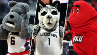 March Madness mascots: What animal is most represented in 2024 men's tournament?