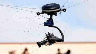 Tennis camera swarmed by bees