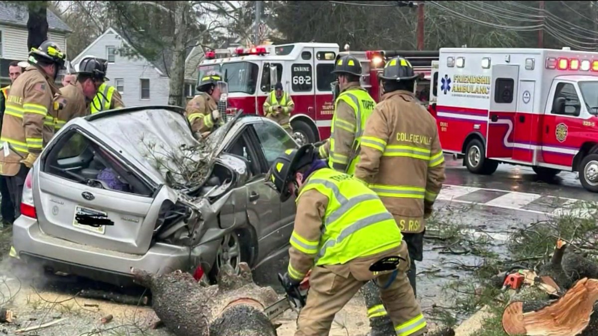 Tree falls on a car in Collegeville killing an 82-year-old woman ...