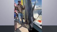 Fishermen catch 718-pound tuna in New Jersey