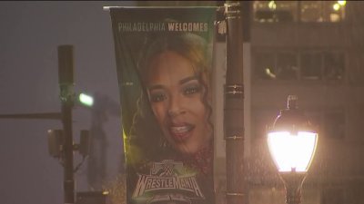 Own a piece of history: WrestleMania banners up for auction