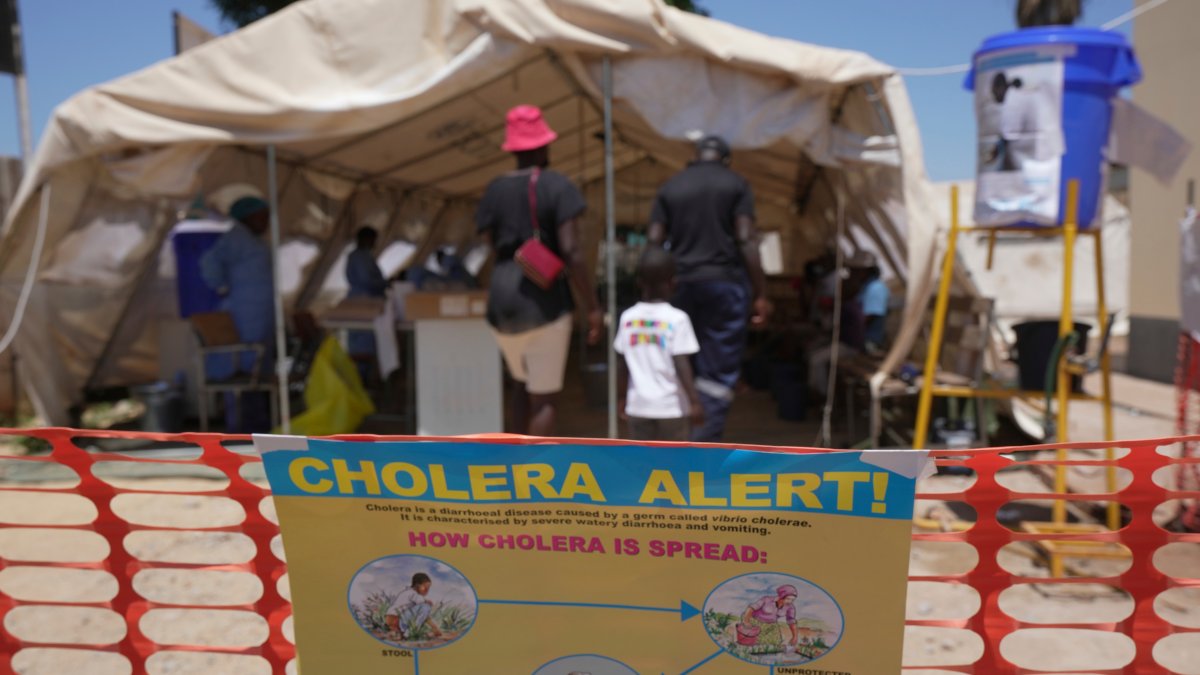 UN approves an updated cholera vaccine – NBC10 Philadelphia