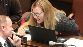 Democratic State Sen. Nicole Mitchell, right, of Woodbury, speaks with Sen. Robert D. Farnsworth,