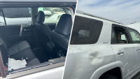 Man dies as car smashes into Lehigh Valley car dealership