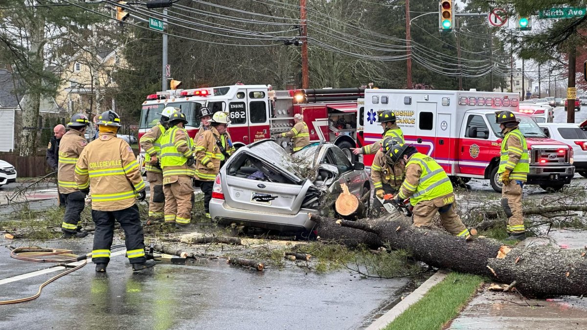 Tree kills woman in car in Collegeville, Pennsylvania NBC10 Philadelphia