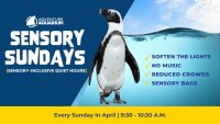 Adventure Aquarium celebrates Autism Awareness Month with new ‘sensory-inclusive hours'