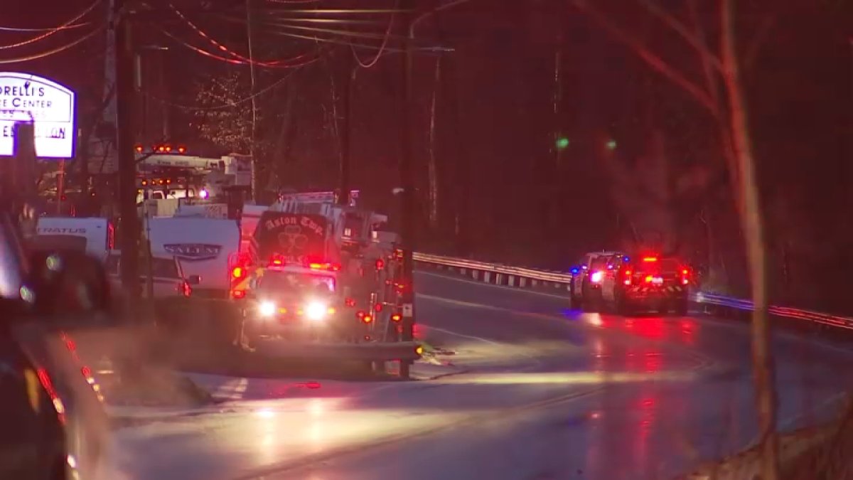 Elderly man killed after a tree fell onto his car in Delco – NBC10 ...