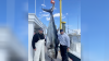 New Jersey fishermen catch 718-pound tuna. Here's what they did with it