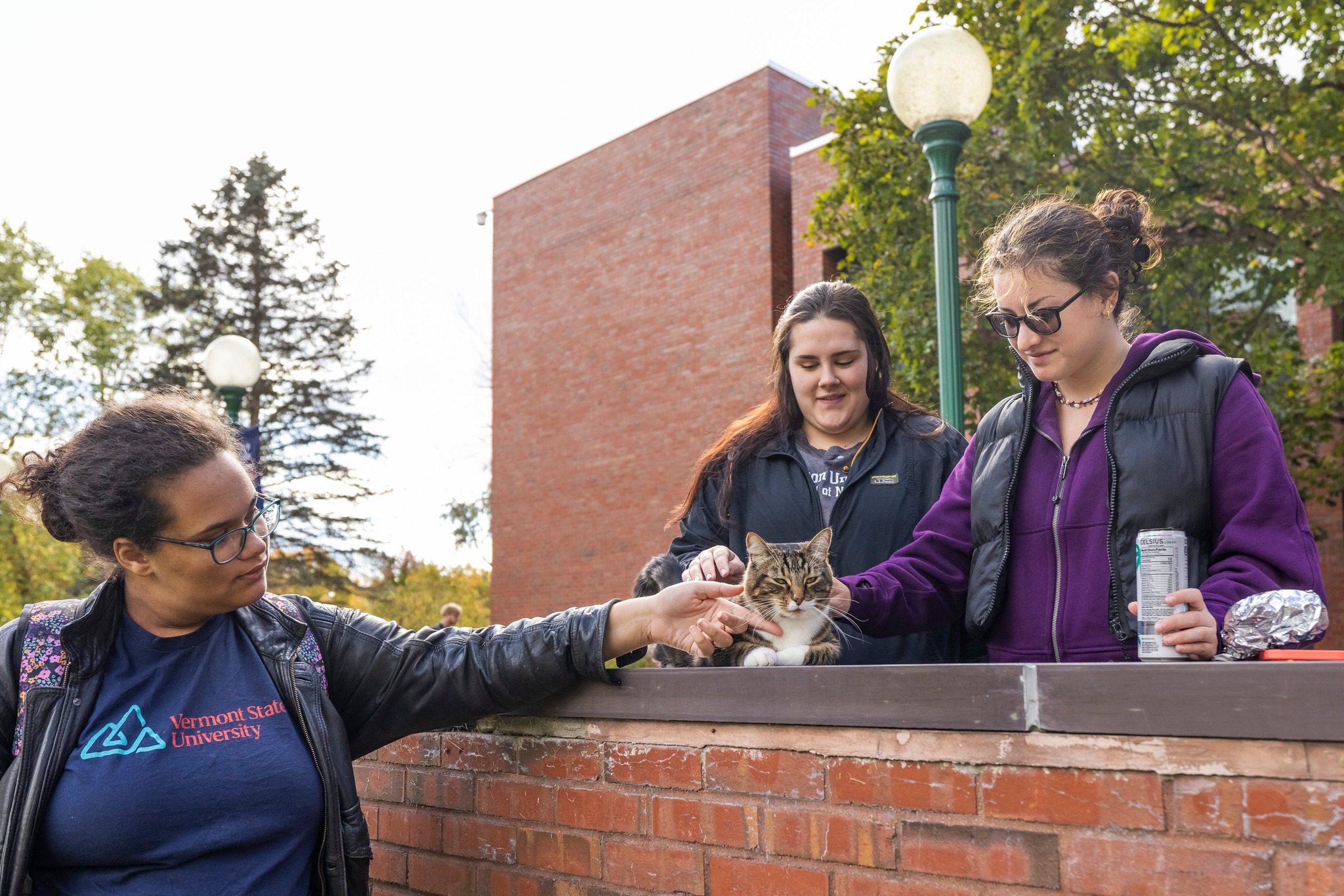 Max the campus cat is greeted by students at Vermont State University in Castleton.