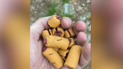 Dangerous dog treats found along Lehigh County stretch of Appalachian Trail