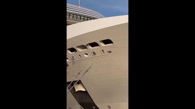 Cruise ship sails into NYC port with dead whale across bow