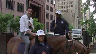 Back on the horse as Philadelphia Polo Classic announces return in 2024