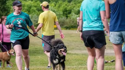 You can get in a good workout while supporting rescue animals in our region
