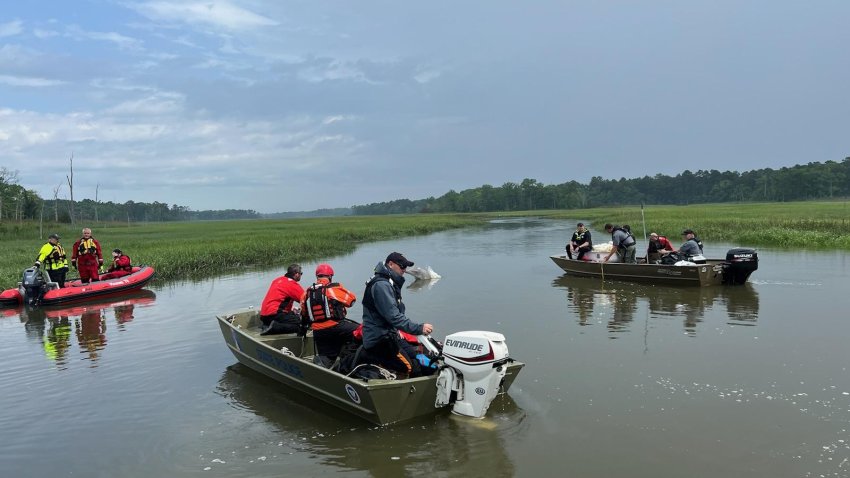 A team on boats attempting to rescue a dolphin from a New Jersey creek