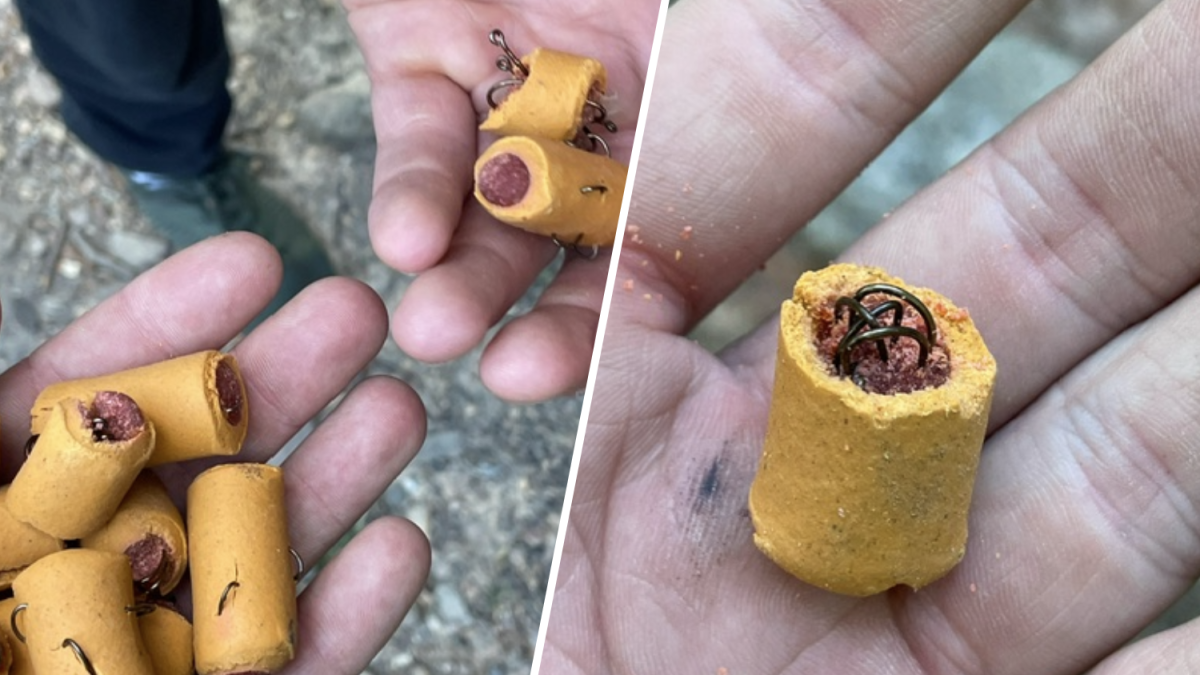 Fishhooks found in dog treats on Pa.’s Appalachian Trail – NBC10 Philadelphia