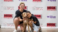 Over 1,000 pets will be up for adoption during Brandywine Valley SPCA's Mega Adoption Event