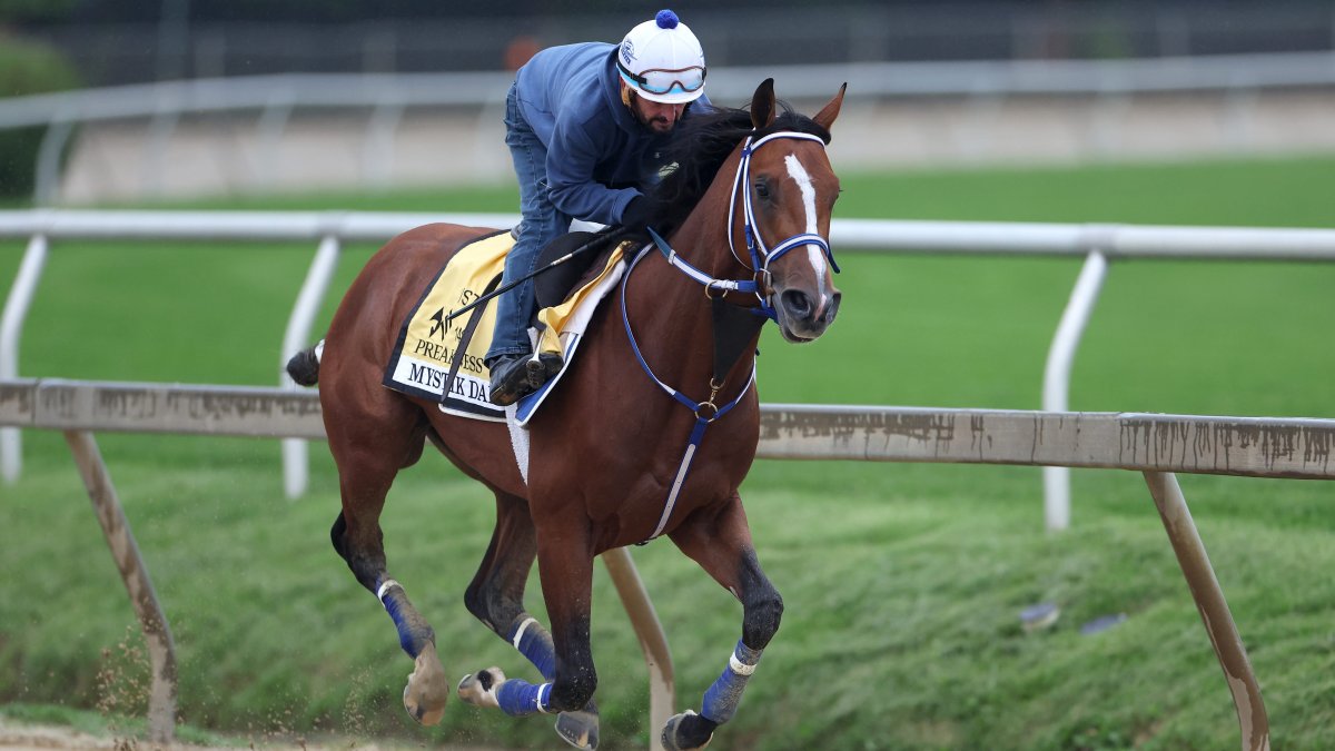 2024 Preakness Stakes horses Field, post positions, scratches NBC10