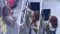 Caught on Cam: Woman steals $1k bird from New Jersey pet store