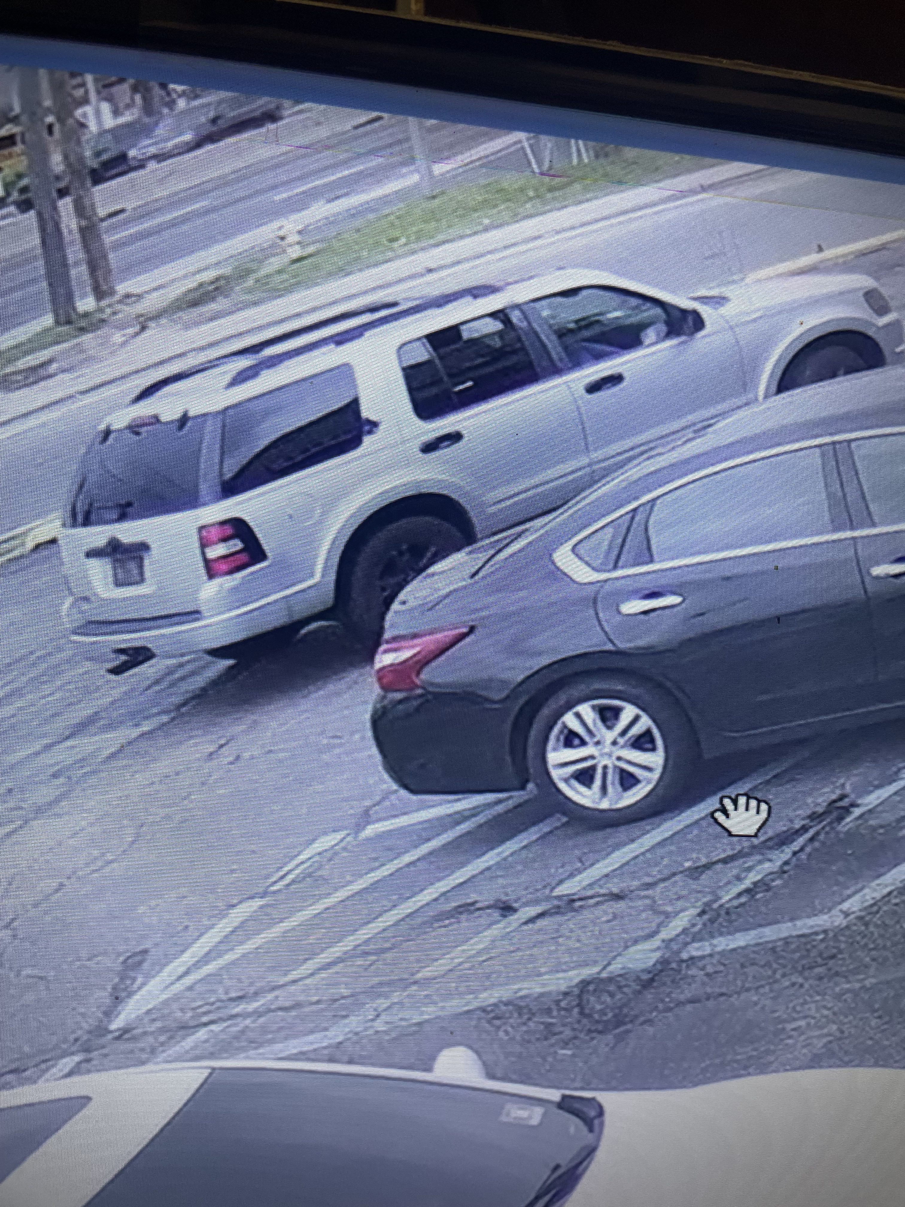 An image of a vehicle believed to be involved in the theft of a bird from a New Jersey pet store.