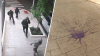 Vandals wanted for throwing glass bottles filled with purple paint, breaking apartment windows