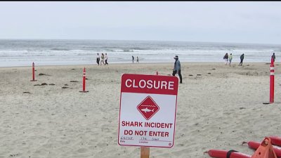 Witness of Del Mar shark attack says victim ‘truly fought for his life'