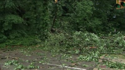 Storm causes flooding, downed trees and power outages across Montco