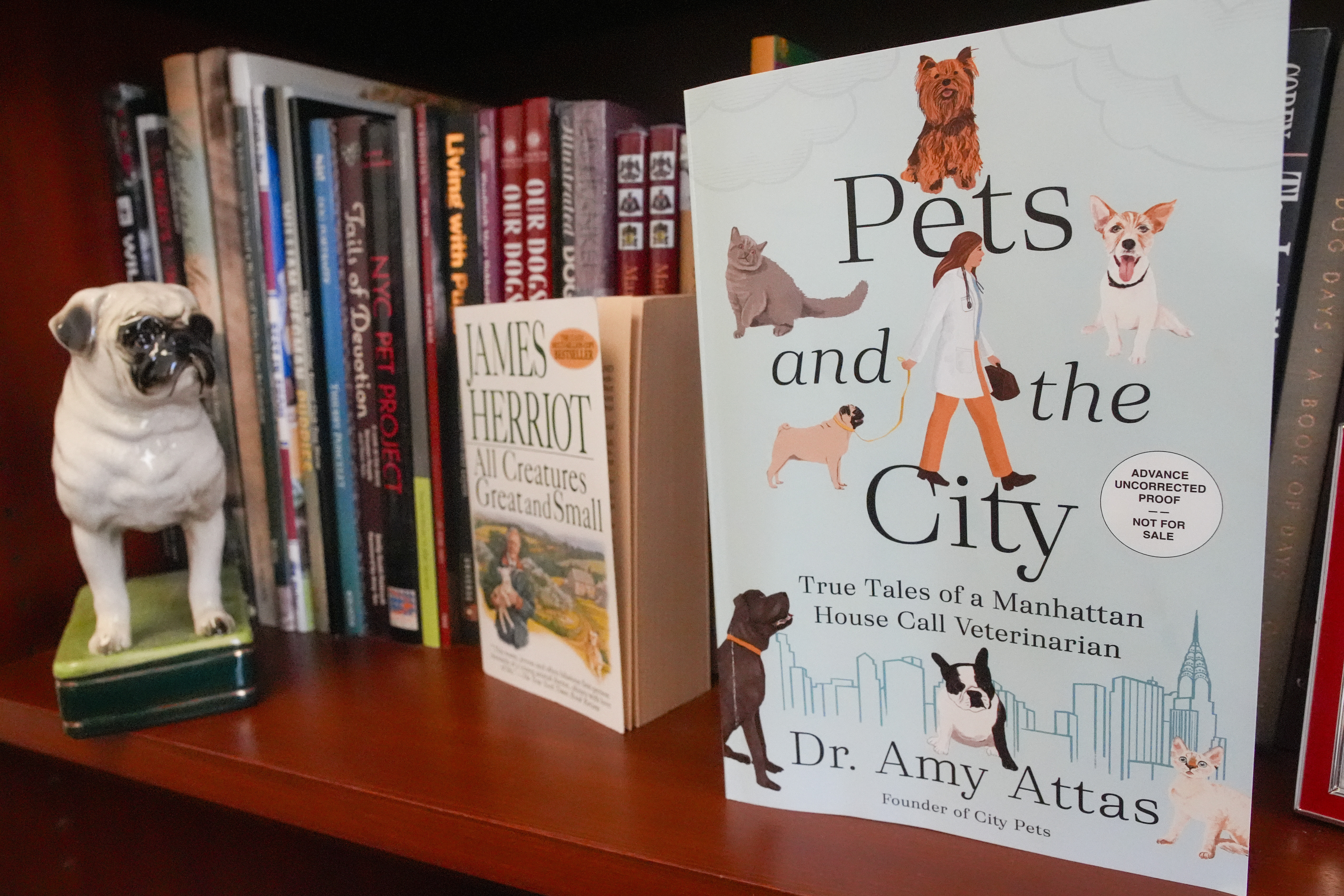 A copy of "Pets and the City" by Dr. Amy Attas, and James Herriot's "All Creatures Great and Small" are displayed on a book shelf in Attas' office at City Pets, Tuesday, April 23, 2024, in New York.