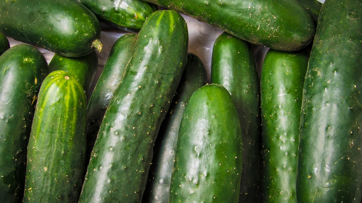 Dozens in Pa., NJ, Del. sickened in cucumber salmonella outbreak CDC