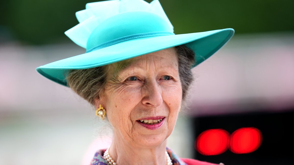 Princess Anne released from hospital after sustaining head injury ...