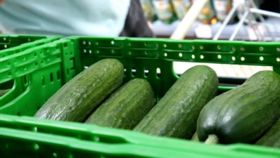 Cucumbers recalled from 14 states over possible Salmonella contamination