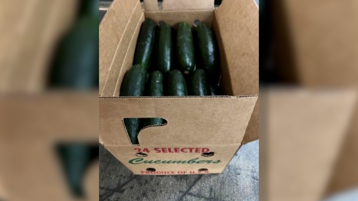 Cucumbers recalled in 14 states over salmonella concerns NBC10