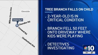 Toddler hurt after tree falls on kids playing in Montgomery County driveway