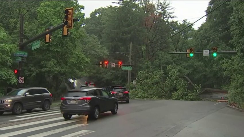 A downed tree along Lincoln Drive at Wissahickon Avenue caused issues for drivers on Tuesday morning.