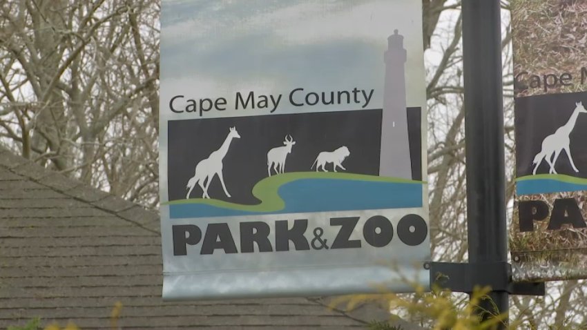 Cape May County Zoo banner on pole