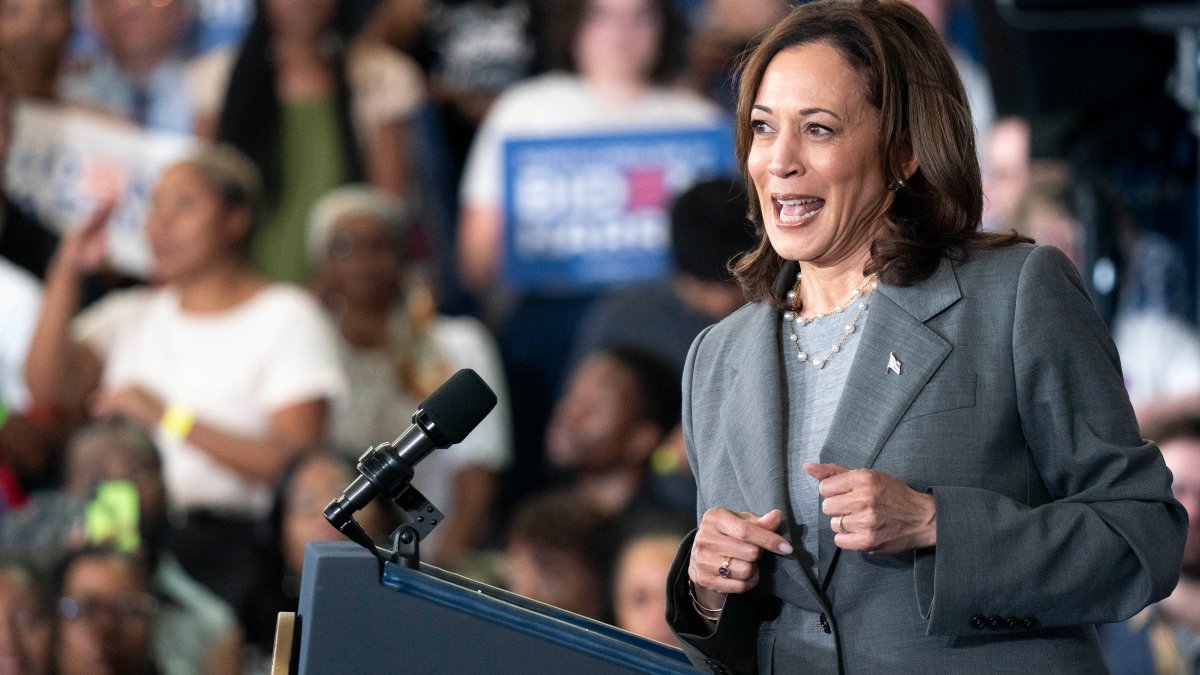 COOL FACTS ABOUT KAMALA HARRIS visual data 8