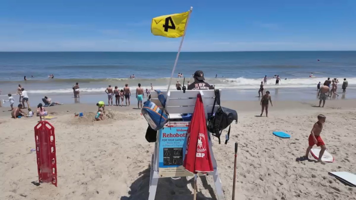Water Advisories Issued for Delaware, Florida Beaches Over Bacteria Levels